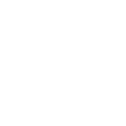 chiropractic icon