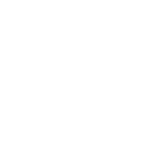spinal png