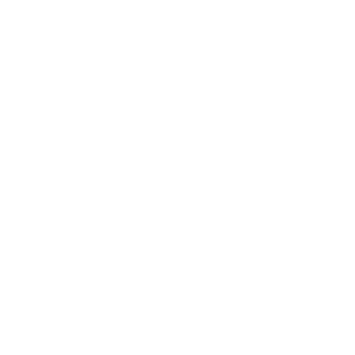 functional medicine icon