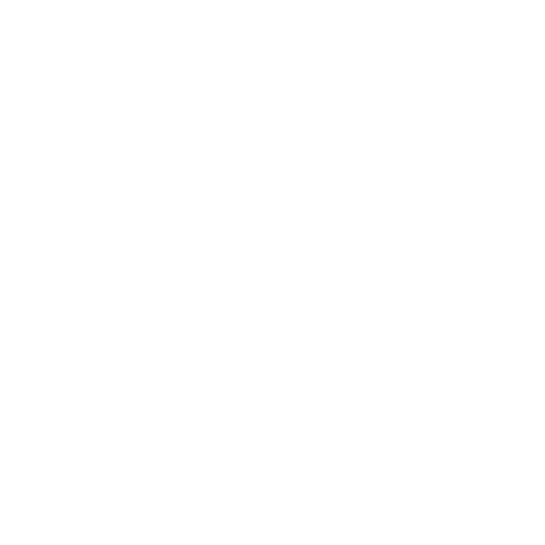 knee & low back bracing